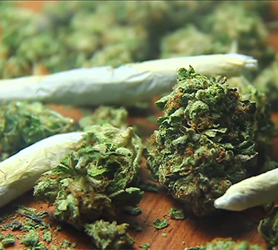 Cannabis: CAMH recommends legalization with strict regulation