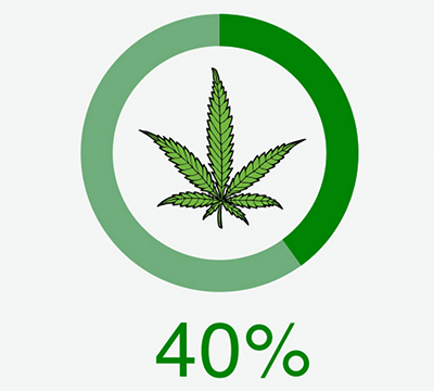 Cannabis Infographic
