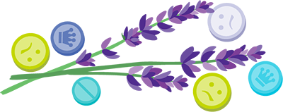 Illustration of ecstasy pills and salvia divinorum plant.