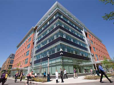 CAMH Leadership
