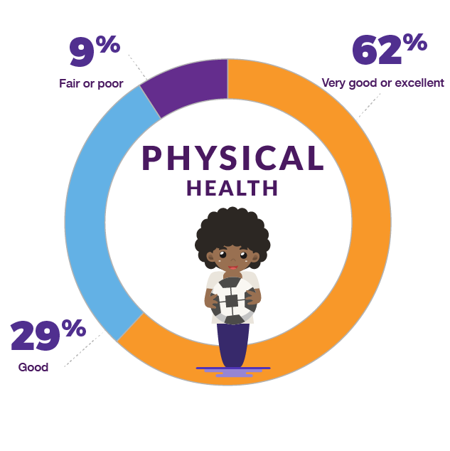 Pie chart showing students rating of their physical health: 62 percent rate it as very good or excellent, 29 percent say it is good and 9 percent say it is fair or poor