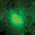 Stress and neurons
