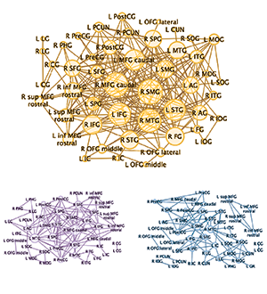 Mapping brain networks