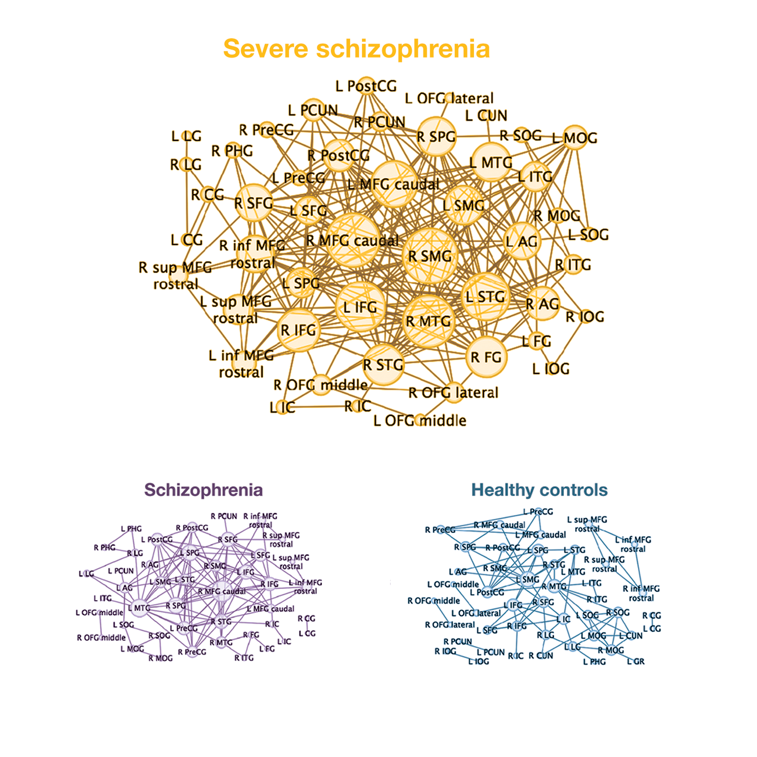Mapping brain networks