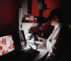 Microscope screen in darkened lab