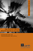 The Forensic Mental Health System Ontario Info Gde