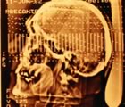 Skull in sepia-coloured scan