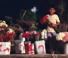 Boy selling flowers
