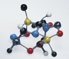 Molecular model