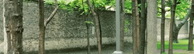 Shaw St wall