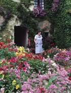 Garden in courtyard