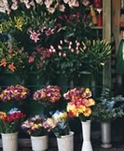 Flower stall