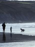 Walking beach with kid dog