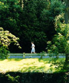 Lone runner in woods 2003 Don River Run