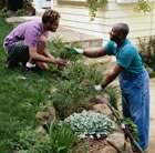 Two men gardening